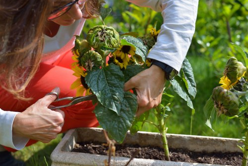 Gardeners finishing a safe, insured landscaping job