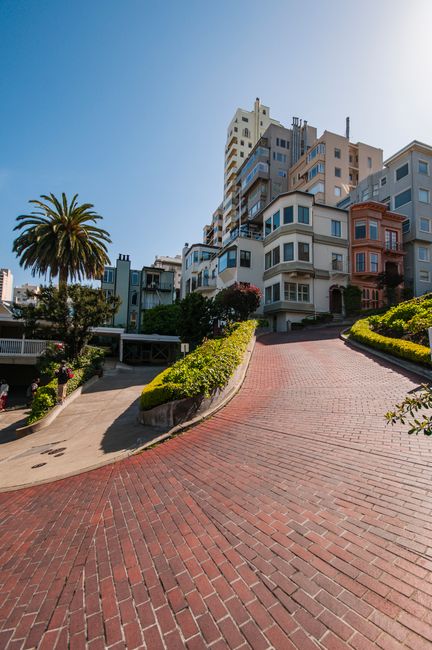 A paved brick driveway slopes upward toward a row of multi-story residential buildings with modern architectural features, including rounded bay windows and balconies. On the left side of the driveway